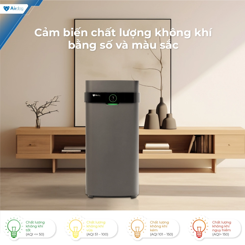 Máy lọc không khí Airdog X5D màu đen