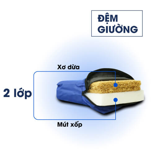 Giường y tế điều khiển bằng remote HAKAWA HK-D95